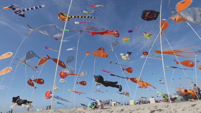 Pháp: Sôi động lễ hội diều quốc tế lần thứ 39 - Ảnh 1.