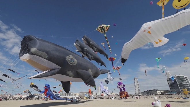 Pháp: Sôi động lễ hội diều quốc tế lần thứ 39 - Ảnh 3.