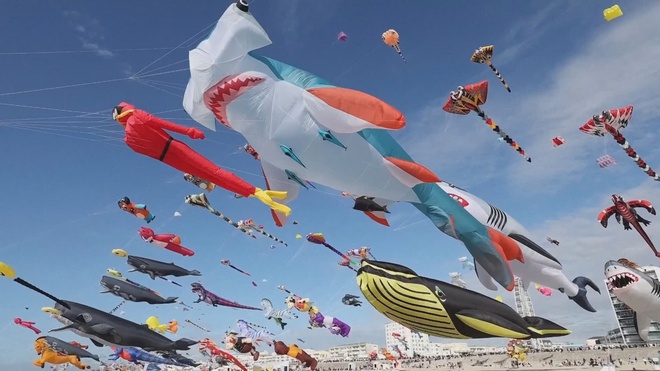 Pháp: Sôi động lễ hội diều quốc tế lần thứ 39 - Ảnh 8.