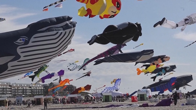 Pháp: Sôi động lễ hội diều quốc tế lần thứ 39 - Ảnh 5.