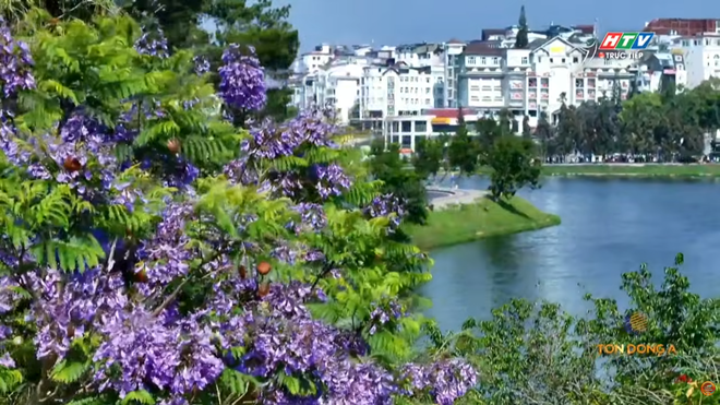 Chặng 17 Cúp Truyền hình 2026: Anton Popov tiếp tục chiến thắng chặng - Ảnh 12.