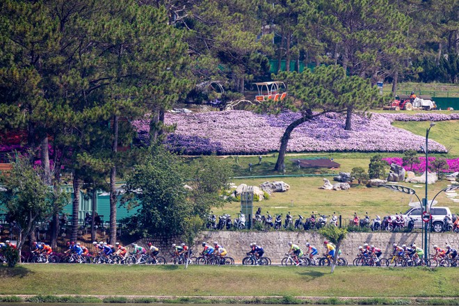 Những hình ảnh đẹp chặng 17 Cúp Truyền hình 2026- Ảnh 5.