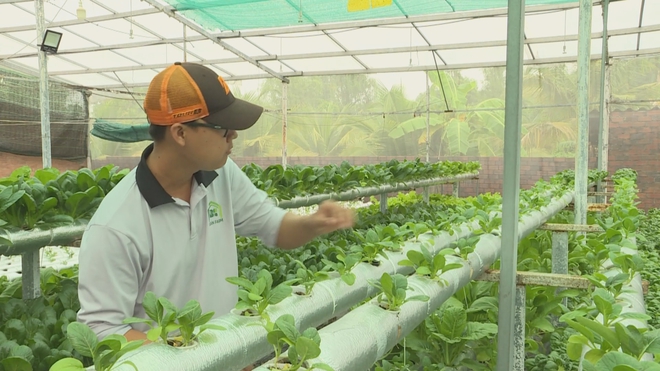 Giữ mảng xanh đô thị nhờ mô hình nông nghiệp ứng dụng công nghệ cao- Ảnh 8.