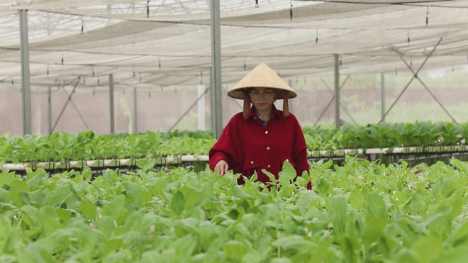 Giữ mảng xanh đô thị nhờ mô hình nông nghiệp ứng dụng công nghệ cao- Ảnh 3.