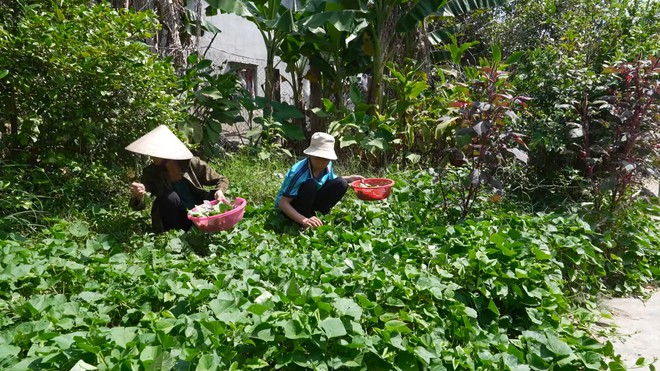 Mái ấm gia đình Việt: Cậu bé Tấn Đạt vừa học vừa cắt cỏ phụ bà nuôi mẹ bệnh- Ảnh 5.