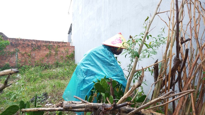 Mái ấm gia đình Việt: Cô bé mồ côi chăm bà gần 80 tuổi và em nhỏ 10 tháng - Ảnh 6.