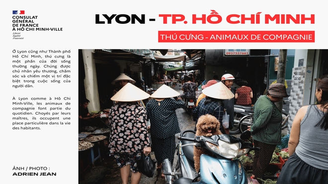 Triển lãm ảnh “Lyon – TP. Hồ Chí Minh”: Những giao điểm giữa hai thành phố - Ảnh 5.