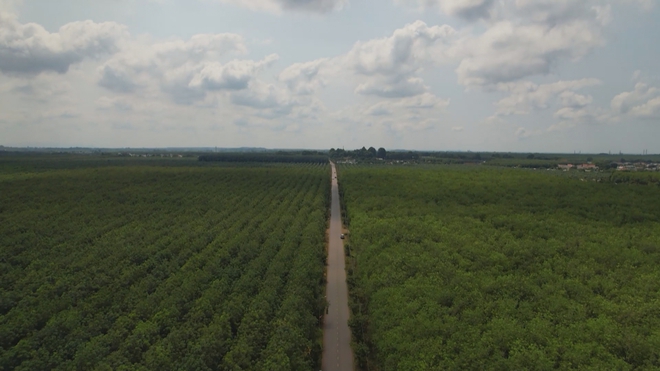 Tuyến đường chiến lược nối Sân bay Long Thành và trung tâm du lịch biển - Ảnh 6.