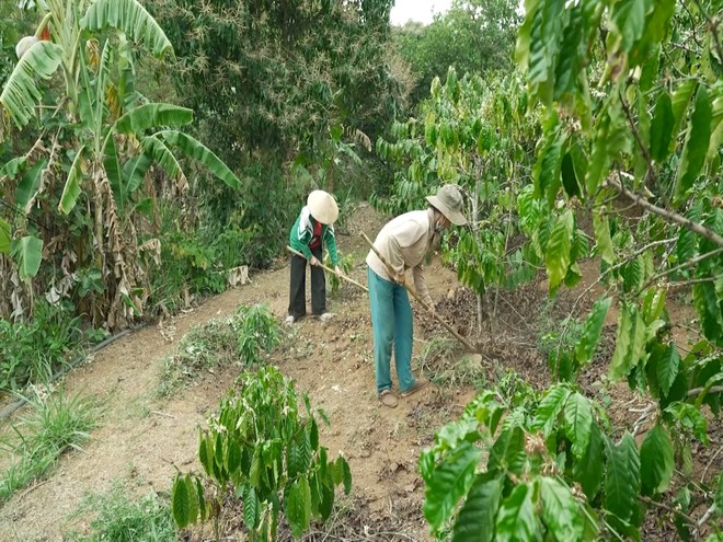 Mái ấm gia đình Việt: Ngọc Diễm theo mẹ làm thuê nuôi cha bệnh nặng- Ảnh 5.