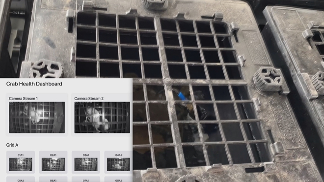 TP. Hồ Chí Minh nỗ lực nâng tầm vị thế, đổi mới sáng tạo trên trường quốc tế - Ảnh 1.