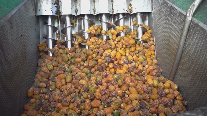 Philippines: Dự án biến rác thải nông nghiệp thành điện năng- Ảnh 2.