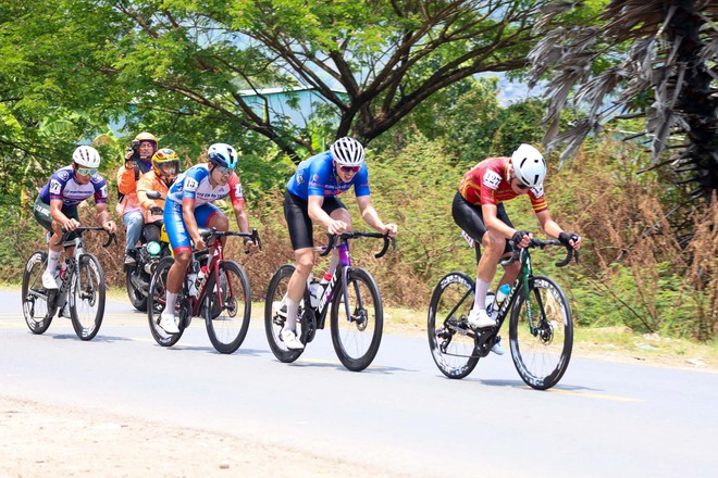 Hình ảnh đẹp chặng 24 Cúp Truyền hình 2026 - Ảnh 5.