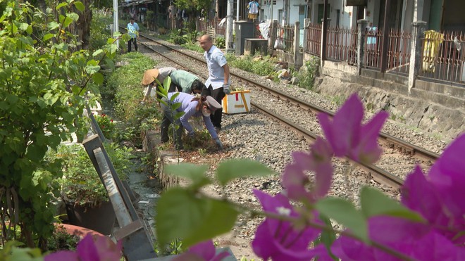 Từ hành lang đường sắt đến những tuyến đường hoa an toàn - Ảnh 5.