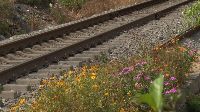 Từ hành lang đường sắt đến những tuyến đường hoa an toàn - Ảnh 4.