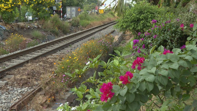 Từ hành lang đường sắt đến những tuyến đường hoa an toàn - Ảnh 2.