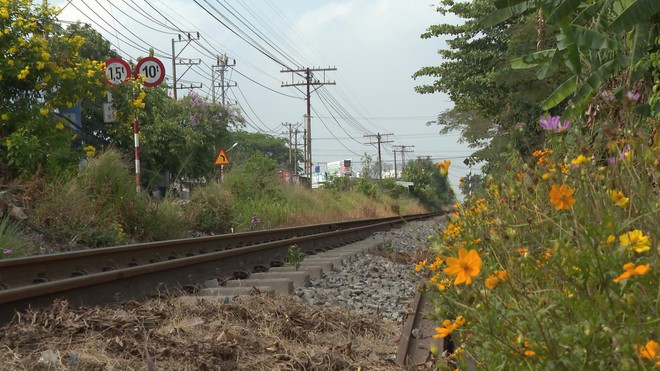Từ hành lang đường sắt đến những tuyến đường hoa an toàn - Ảnh 3.