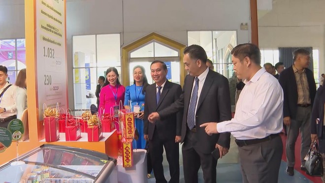 Đẩy mạnh hợp tác văn hóa giữa TP. Hồ Chí Minh và tỉnh Savannakhet - Ảnh 2.