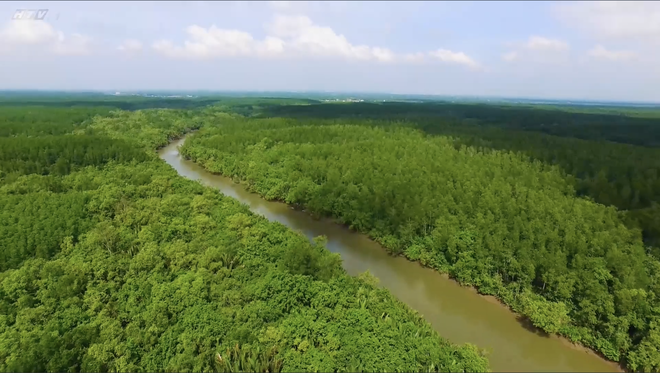 Vườn sao mai: Hành trình về "Vùng đất huyền thoại" của những chiến sĩ đặc công- Ảnh 4.