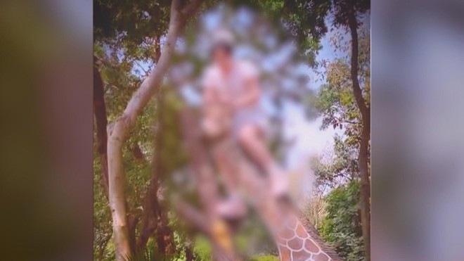 Thảo Cầm Viên Sài Gòn: Cảnh báo du khách không trèo lên tượng hươu cao cổ để chụp hình - Ảnh 1.