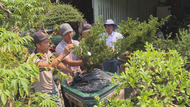 Nỗ lực tìm thị trường tiêu thụ cho hội viên sinh vật cảnh - Ảnh 3.