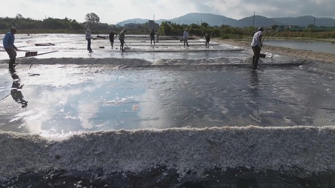Mùa muối "mặn" - Ảnh 3.