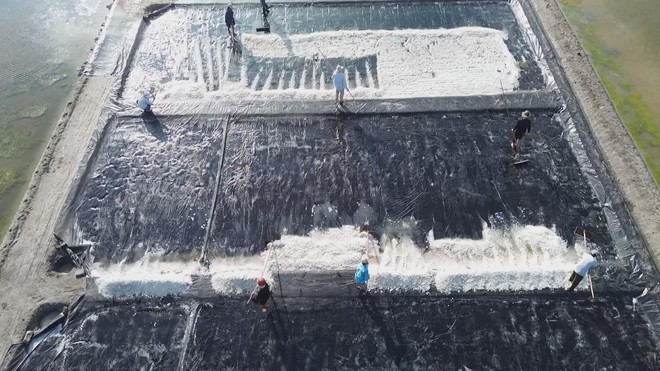 Mùa muối "mặn" - Ảnh 1.