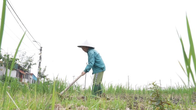 Phương Thảo: Cô bé mồ côi "xài ké" wifi hàng xóm để theo đuổi ước mơ - Ảnh 8.