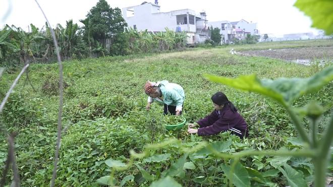 Mái ấm gia đình Việt: Xót xa cô bé không biết cha là ai, mẹ mắc bệnh tâm thần - Ảnh 4.