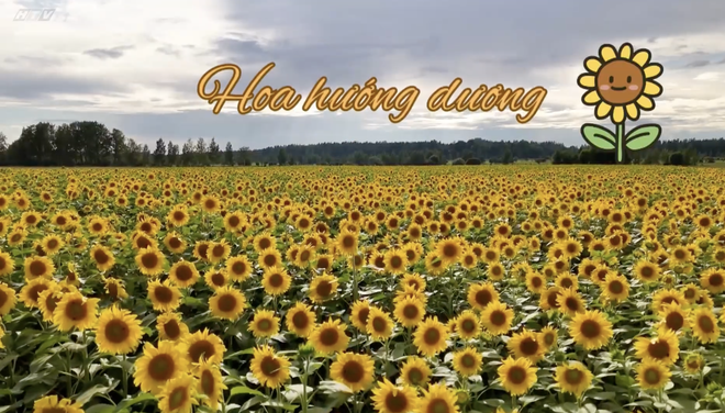 Góc nhỏ kỳ diệu: Sáng tạo nghệ thuật với màu nước và tăm bông - Ảnh 4.