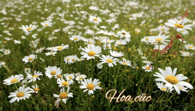 Góc nhỏ kỳ diệu: Sáng tạo nghệ thuật với màu nước và tăm bông - Ảnh 3.