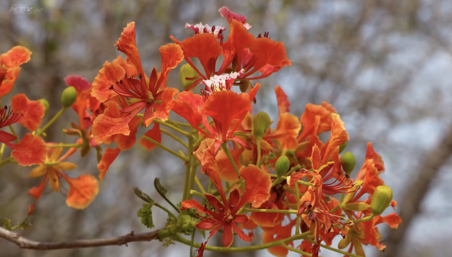 Góc nhỏ kỳ diệu: Sáng tạo nghệ thuật với màu nước và tăm bông - Ảnh 5.