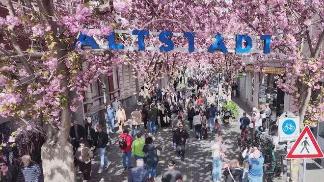 Đức: Mùa hoa anh đào nở rộ thu hút du khách - Ảnh 3.