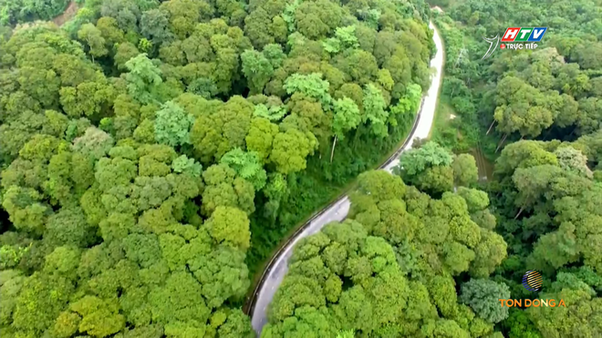 Popop Anton lên tiếng tại Chặng 6 Cúp Truyền hình 2026 - Ảnh 3.