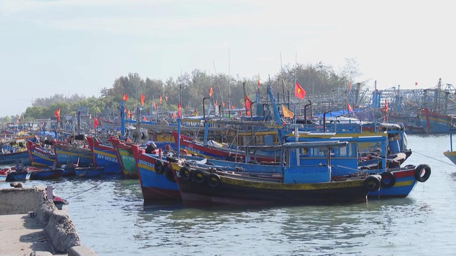 TP. Hồ Chí Minh tiếp tục siết chặt công tác chống khai thác IUU- Ảnh 1.