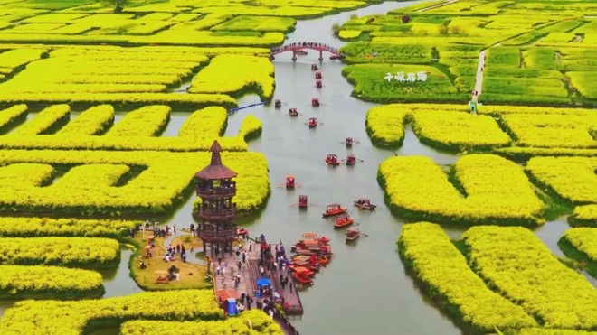 Trung Quốc: Cánh đồng hoa cải thu hút khách dịp đầu xuân - Ảnh 3.
