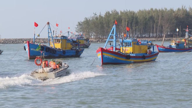 TP. Hồ Chí Minh tiếp tục siết chặt công tác chống khai thác IUU- Ảnh 2.