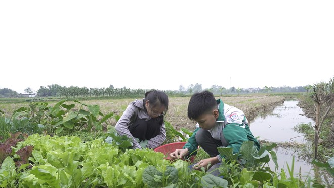 Mái ấm gia đình Việt: Chị em Minh Dương sớm tự lập vì mất cha, mẹ bệnh nặng - Ảnh 2.