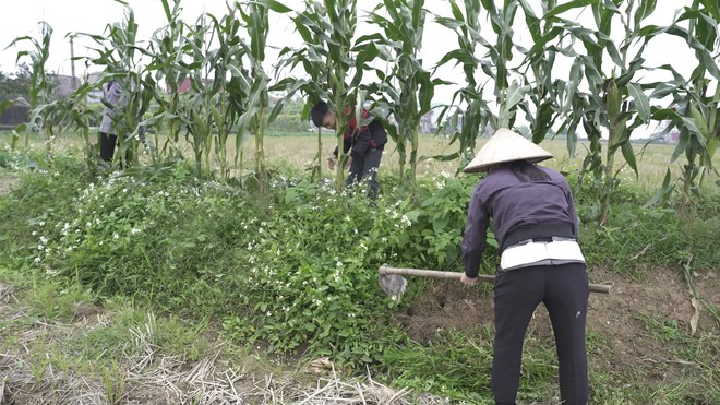 Mái ấm gia đình Việt: Chị em Minh Dương sớm tự lập vì mất cha, mẹ bệnh nặng - Ảnh 5.