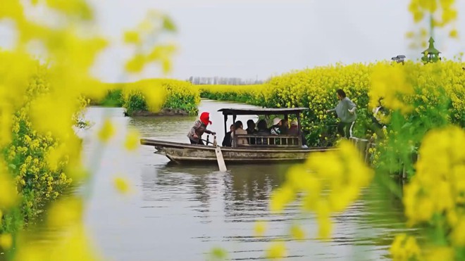 Trung Quốc: Cánh đồng hoa cải thu hút khách dịp đầu xuân - Ảnh 4.