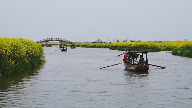 Trung Quốc: Cánh đồng hoa cải thu hút khách dịp đầu xuân - Ảnh 1.