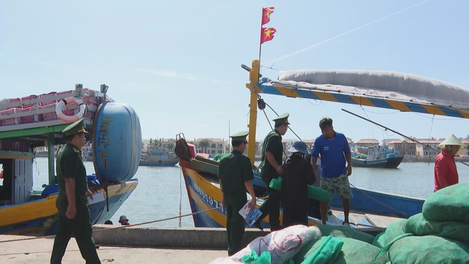 TP. Hồ Chí Minh tiếp tục siết chặt công tác chống khai thác IUU- Ảnh 6.