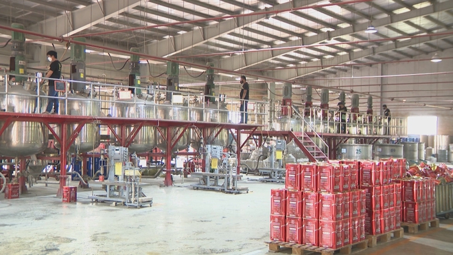 Doanh nghiệp đẩy mạnh "Văn hóa an toàn" trong sản xuất  - Ảnh 3.