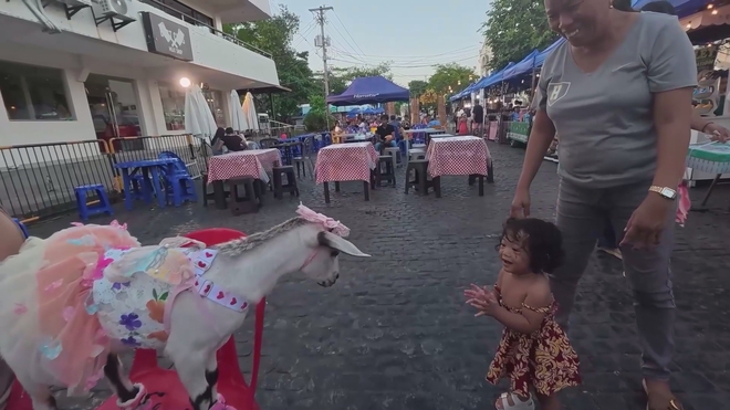 Chú dê thời trang gây ấn tượng ở Philippines - Ảnh 1.