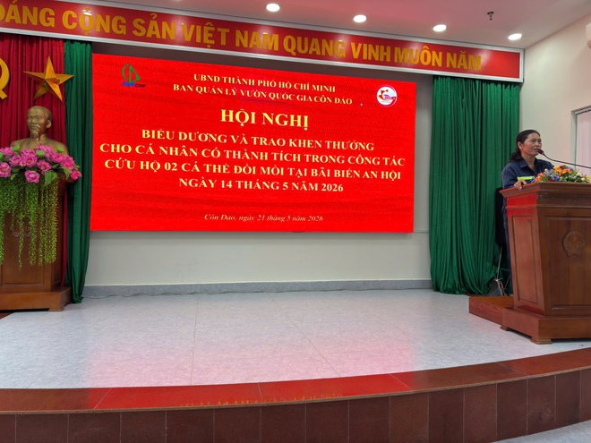 Khen thưởng 3 công nhân vệ sinh môi trường cứu hộ thành công 2 cá thể Đồi mồi tại bãi biển An Hội, TP. Hồ Chí Minh- Ảnh 1.