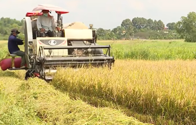 Vươn khơi - Ngày 22/5/2026 | Nghiên cứu xây dựng Luật Thuế bất động sản - Ảnh 4.