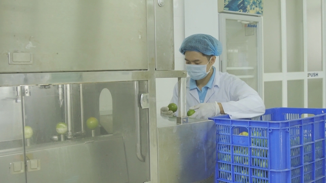 Chanh và bưởi Việt Nam mở rộng thị trường xuất khẩu sang Trung Quốc  - Ảnh 4.