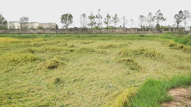 60s am - Ảnh 3.