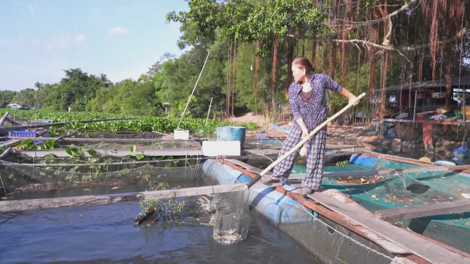 60 Giây ngày 25/5/2026 | Nút giao kết nối cao tốc TP. Hồ Chí Minh - Dầu Giây với Biên Hòa - Vũng Tàu thông xe - Ảnh 4.