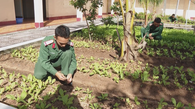 Những "lão nông" mặc áo lính dưới chân núi Minh Đạm - Ảnh 4.