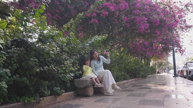 60 Giây ngày 10/6/2026 | TP. Hồ Chí Minh: Cung đường hoa giấy bên biển hút khách mỗi chiều hè - Ảnh 3.